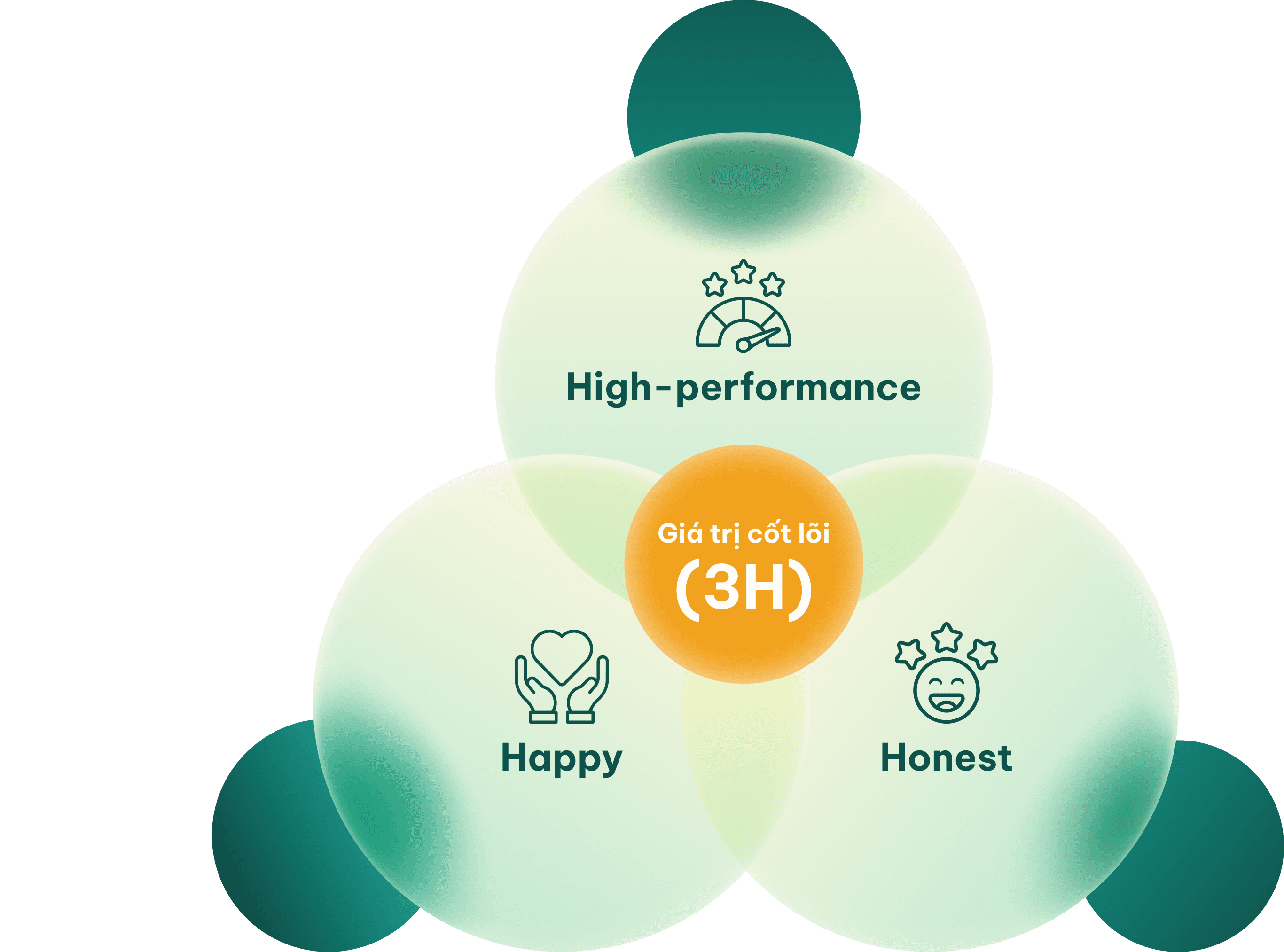 Nền tảng giúp AVE Global tăng trưởng bền vững